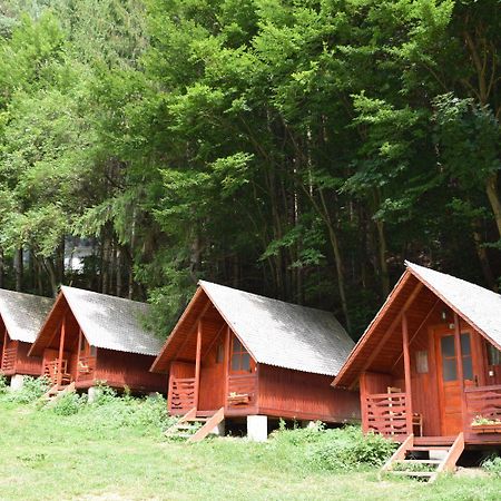 Cabanute Si Camping Dracula Capatineni-Paminteni Exteriér fotografie