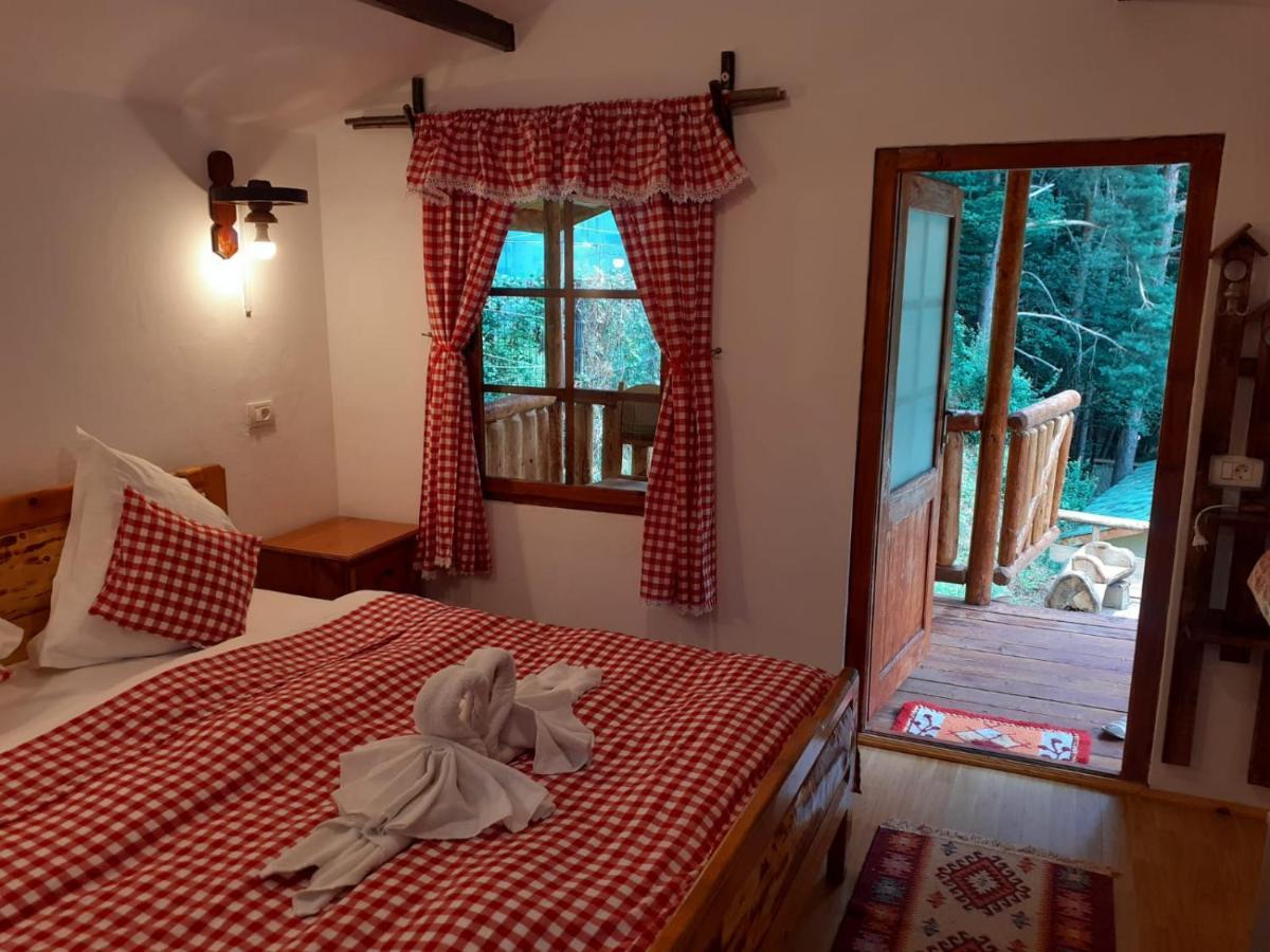 Cabanute Si Camping Dracula Capatineni-Paminteni Exteriér fotografie