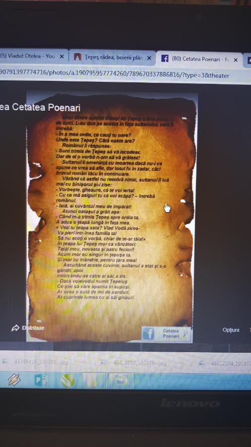 Cabanute Si Camping Dracula Capatineni-Paminteni Exteriér fotografie