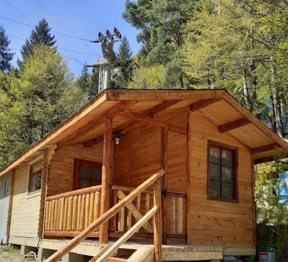 Cabanute Si Camping Dracula Capatineni-Paminteni Exteriér fotografie