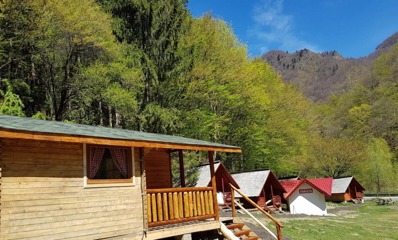 Cabanute Si Camping Dracula Capatineni-Paminteni Exteriér fotografie